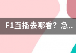 f1曲播在线旁观:F1曲来自播去哪看？急..