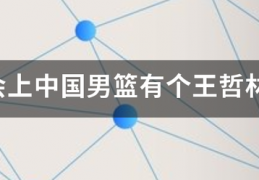 军运会上中国男篮有个王哲林，为什么就会引起良多人的声讨？:王哲林23分20板3断1帽