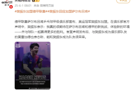 樊振东官宣加盟德甲联赛
