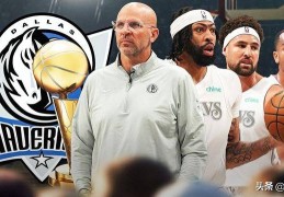 4大预测：对独行侠队2025年NBA季后赛附加赛对阵国王队的预测