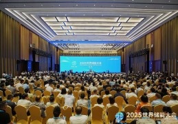 福建省委常委、常务副省长王永礼：2024年福建锂电池制造业产能占全国近三分之一