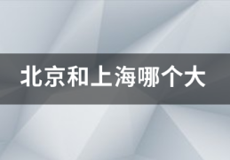 北京和上海哪句际英右及形客个大