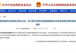 原沈阳铁路局长春铁路办事处主任、党工委书记兼沈阳铁路局副局长孙春友接受纪律审查和监察调查