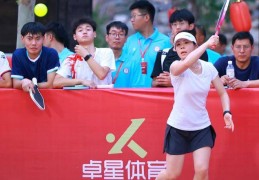 河南省匹克球城市精英赛淇县开拍