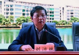 严重违纪违法，刘沛林被查
