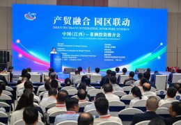 中国江西-非洲投资推介会举行 赞比亚江西经济合作区助力企业“走出去”