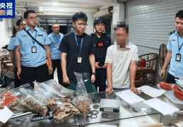 央视曝光后，广东电白连夜行动，对5家企业立案调查