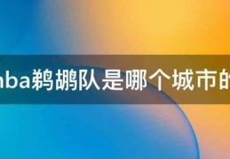 nba鹈鹕队是哪个城市的