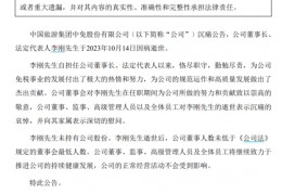 中国中免董事长李刚因病逝世，曾力抓海南开展机遇 “免税茅”将驶向何方？:卡斯泰尼奥