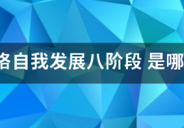 拉文43分:拉文格自我开展八阶段