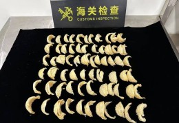 太恶心！女子被查，在打底裤内搜到了用塑料袋包裹的大量食品……