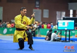 第十届世界传统武术锦标赛：比赛现场高手云集 热闹非凡