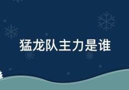 猛龙队主力是谁