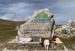 追光｜耳边只有波涛与心跳声 他们在抢渡黄河挑战赛中迎接毕业季