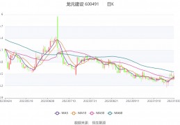 龙元建立：2023年前三季度吃亏5.78亿元:沈龙元