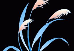 官宣！重庆“渝超”足球联赛来了！附比赛时间、地点及赛程→