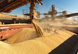 巴西大豆对中国坐地起价，中国利用美国完美把控节奏