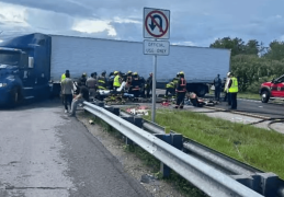 美国高速公路上印度裔司机违法掉头致3死，近300万人却联名要求轻判，印度高官也发声