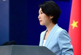 中国散布对法国阵风战机性能的质疑？外交部回应