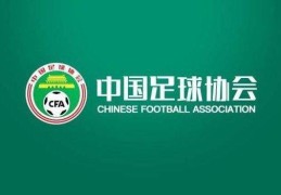 快讯-2023中国足球职业联赛准入名单：昆山、广州城、陕西无缘准入:日本足球职业联赛