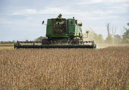 中国追加阿根廷大豆订单至20船，美议员气炸：阿根廷背刺我们！