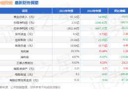 中超控股（002471）2024年年报简析：净利润减108.53%
