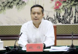 中央巡视组、省委巡视组联动巡视期间，姚任被查