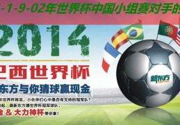 02年世界杯中国小组赛敌手的成就