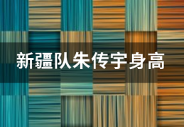 新疆队朱传宇身来自高