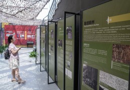 江苏南京：铭记历史 缅怀先烈