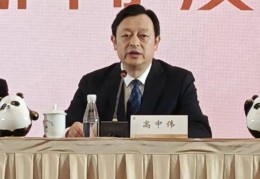 “四川造”影视频频出圈 金熊猫将助力新的“哪吒”诞生