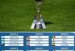 世青赛分组：阿根廷乌兹别克同组，意大力把西同组，法国韩国同组:意大利u20
