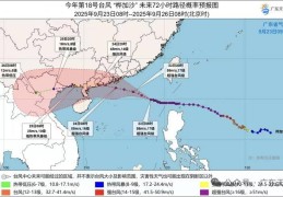 防御“桦加沙” 深圳全市高速公路23日20时起实施交通管制