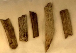 法国、德国542片甲骨数字化回归安阳