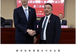 体育头图丨王励勤当选中国乒乓球协会新任主席