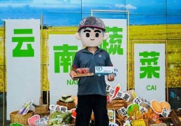 云南顺丰全国多仓联动400+城市，云菜次日可达
