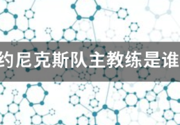 纽约尼克斯队主教练是谁？