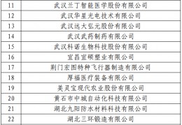 日本公布新一期国度男足名单:2023年新一批及通过复核的国度常识产权示范企业和优势企业（湖北）名单公布