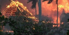 世界杯决赛赛程:夏威夷大火数十名死者遗体仍未确认身份！政府应对不力被查询拜访