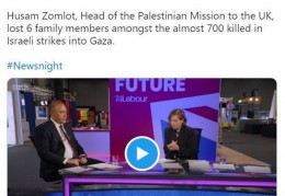 川澄奈穗美:巴勒斯坦驻英大使在以色列轰炸中失去7个亲人，BBC主持人“冷血”采访惹公愤