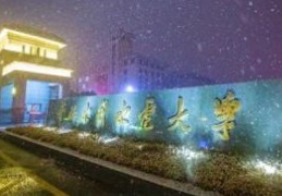 共青团河南省委书记王笃波履新华北水利水电大学党委书记:www.7m.cn