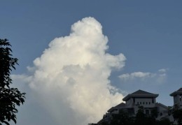 深圳全市白色台风预警发布！台风“杨柳”预计今晚登陆广东！