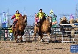 2025年阿拉善骆驼超级联赛开赛