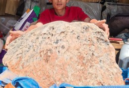 坠落广东的火流星被挖出 重423公斤命名为“茂名”