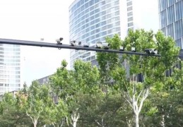 上海人深恶痛绝！警方已经严查，罚款200元！高发路段公布