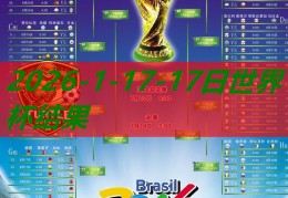 17日世界杯成果