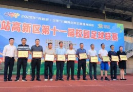 合肥市伦先小学足球代表队在新站区足球联赛中获佳绩
