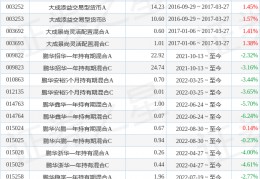 鹏华民丰盈和6个月持有混合A基金司理变更：增聘杨雅洁为基金司理:杨启鹏