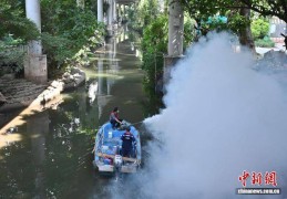 广东新增报告201例基孔肯雅热本地个案 大部分地区蚊媒仍活跃