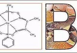 维生素团队里的另类奇才